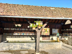 Delivrez - Free Library (Détrier, France)