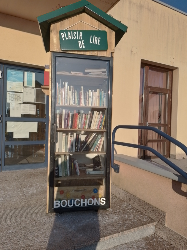 Délivrez - Boite à livres (Moncel-lès-Lunéville, France)