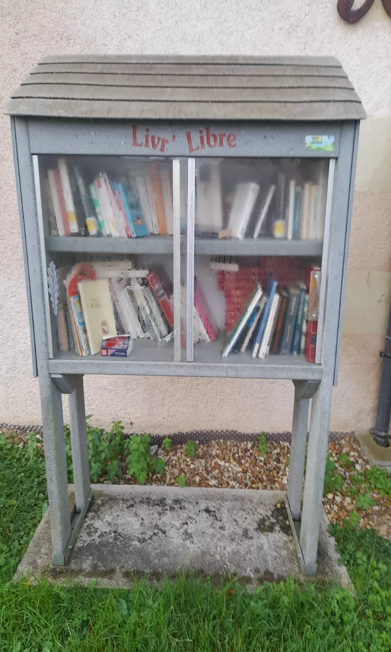 Délivrez - Boite à livres (Montreuil-en-Touraine, France)