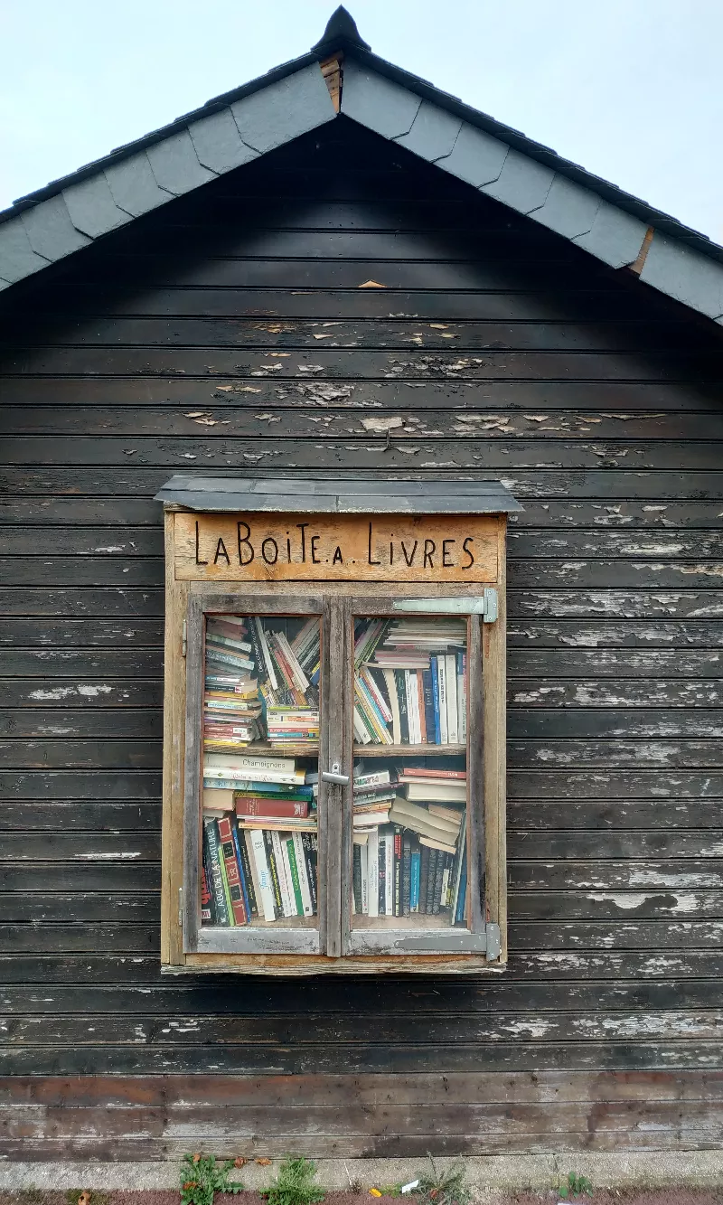 Délivrez - Boite à livres (Beaumont-le-Roger, France)