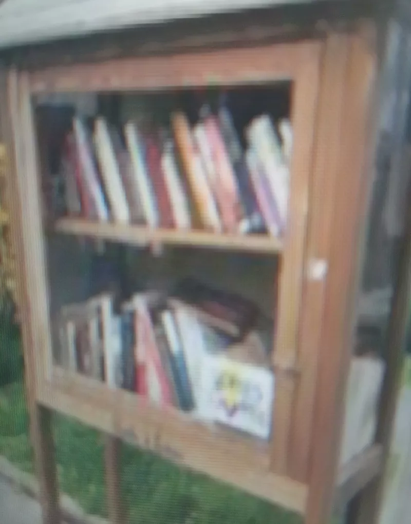 Délivrez - Boite à livres (Viry-Châtillon, France)