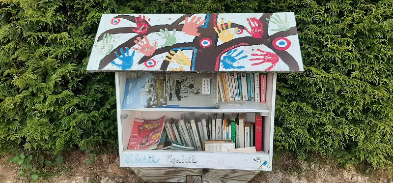 Délivrez - Boite à livres (Saint-Rémy-Boscrocourt, France)