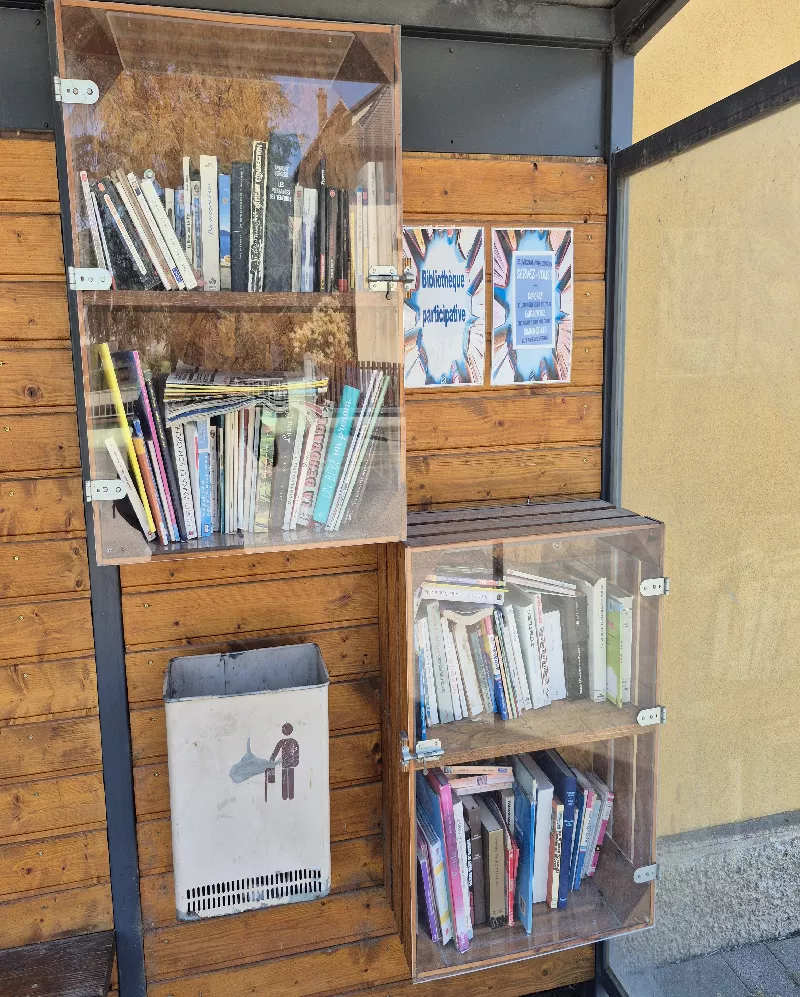 Délivrez - Boite à livres (Friesenheim, France)