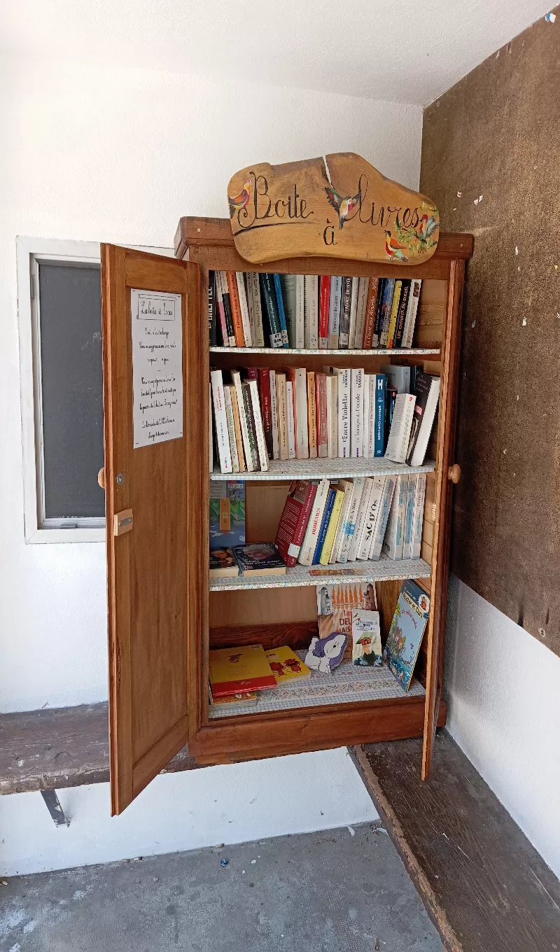 Délivrez - Boite à livres (Sainte-Marie-de-Cuines, France)