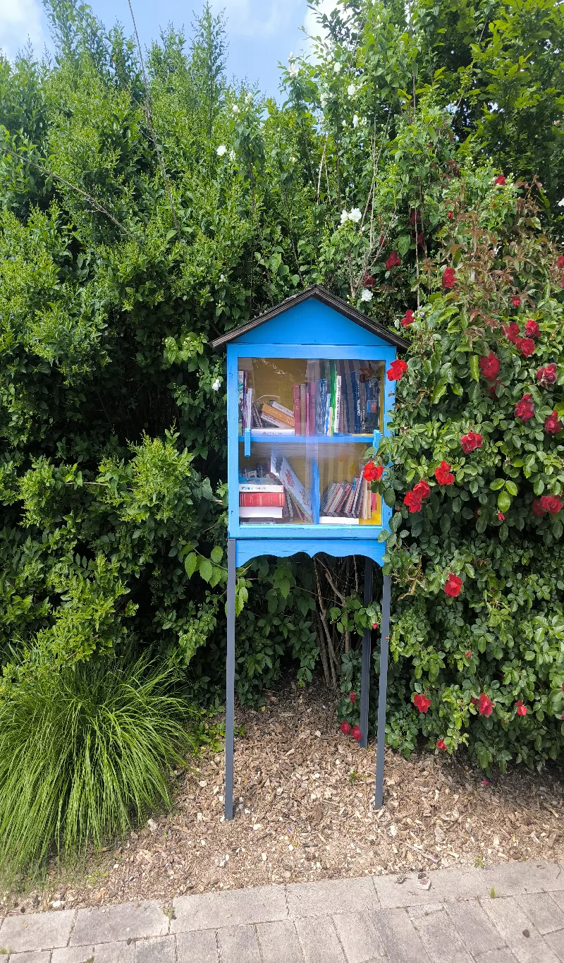 Délivrez - Boite à livres (Saint-Martin-sur-le-Pré, France)