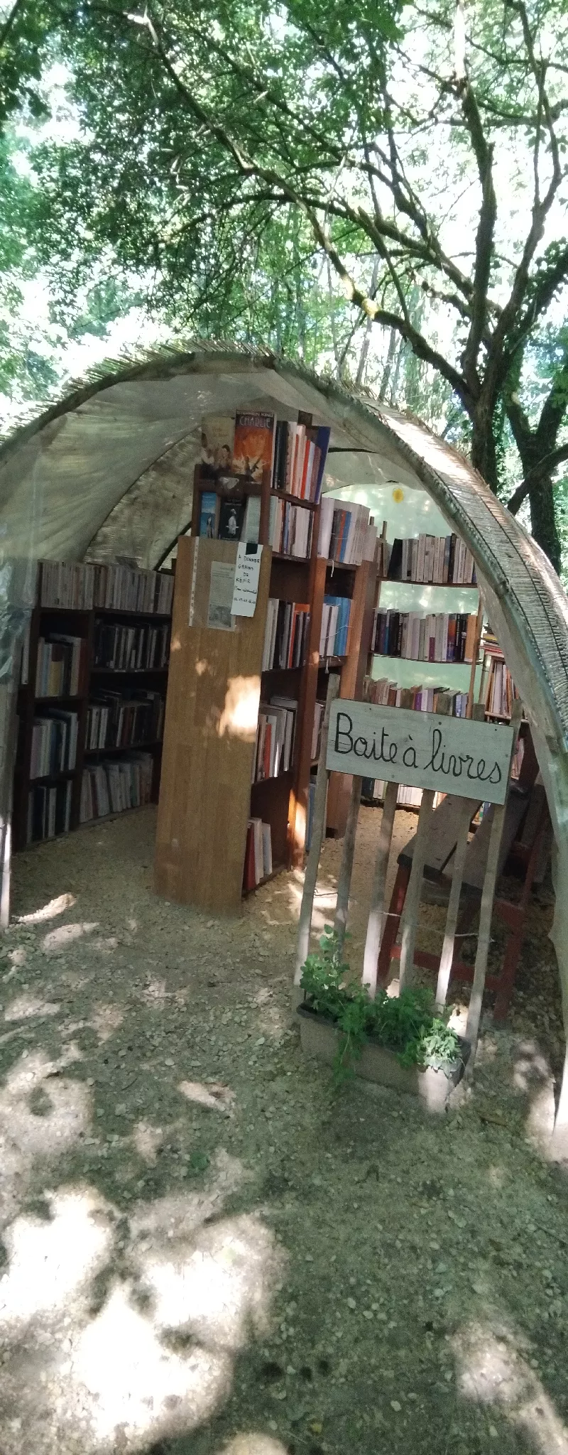 Délivrez - Boite à livres (Saint-Sauveur, France)