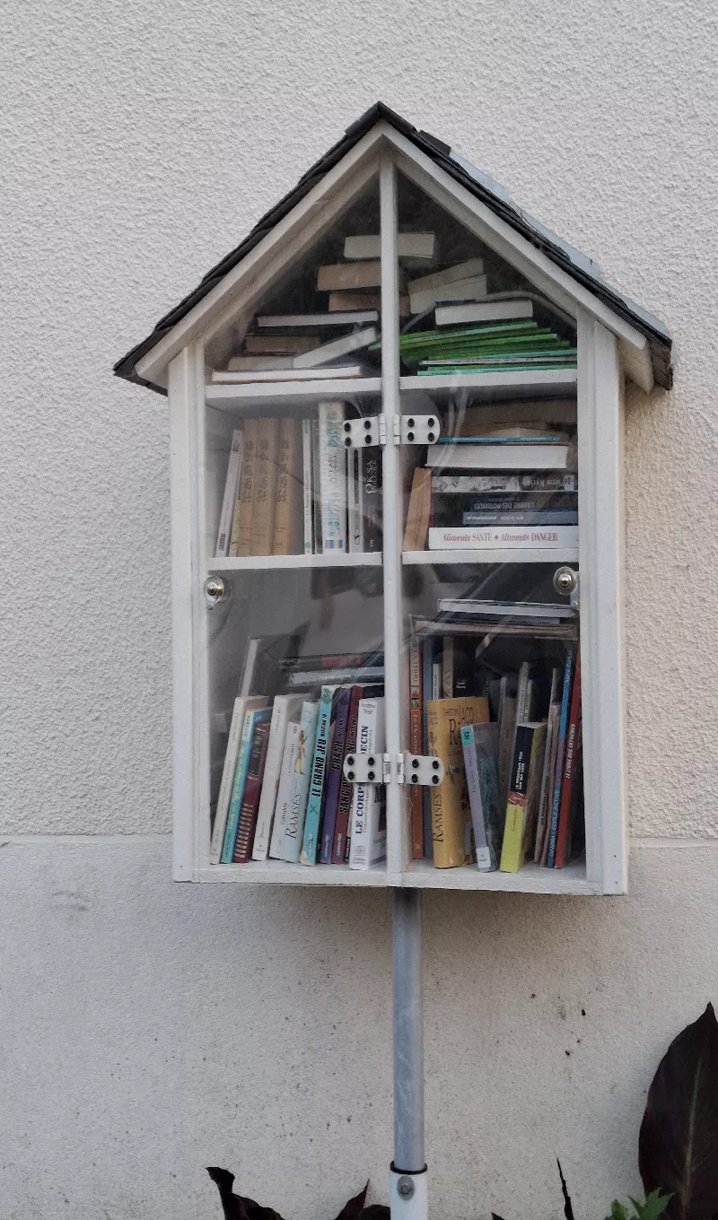 Délivrez - Boite à livres (Saint-Jean-Froidmentel, France)