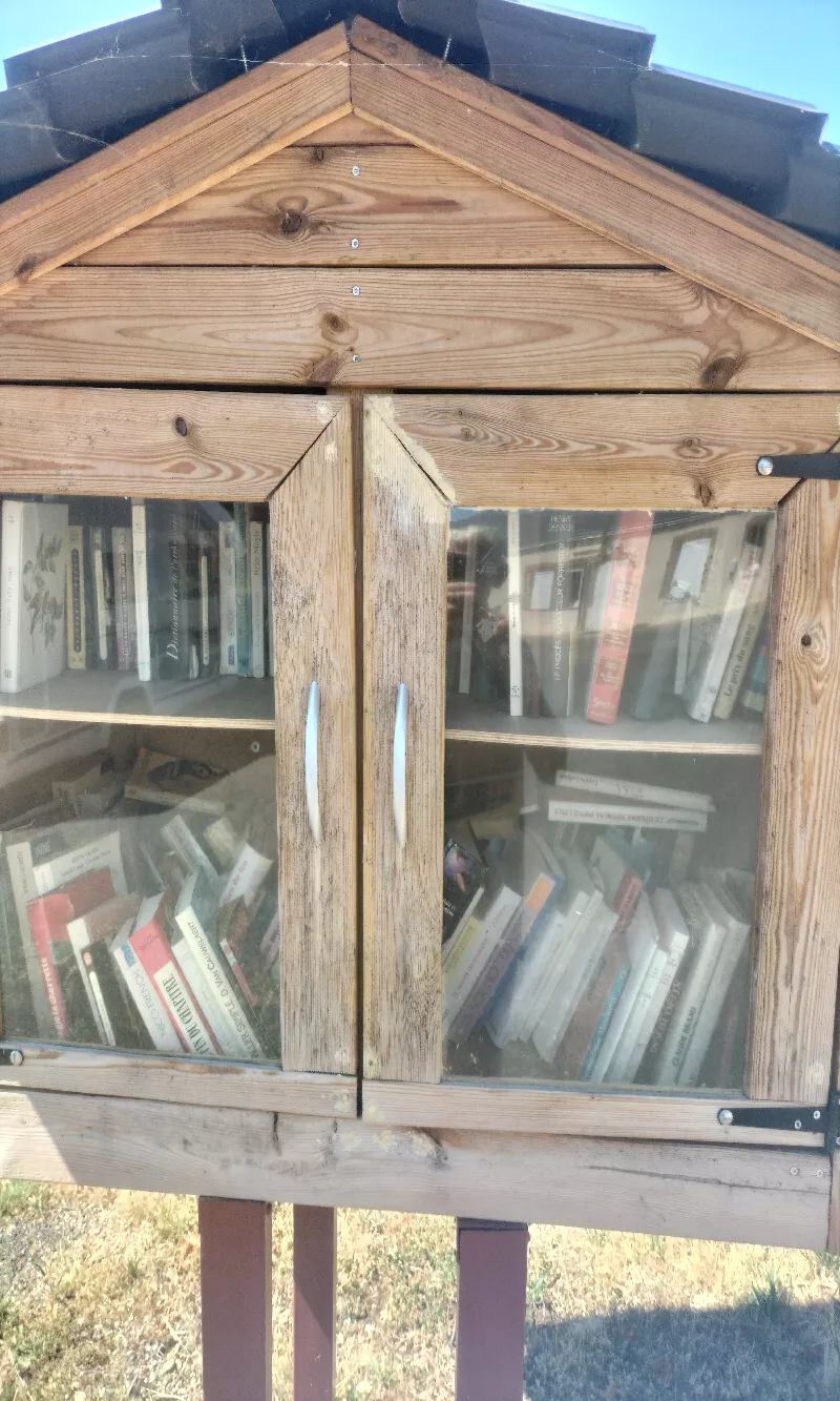 Délivrez - Boite à livres (Dampierre-en-Crot, France)