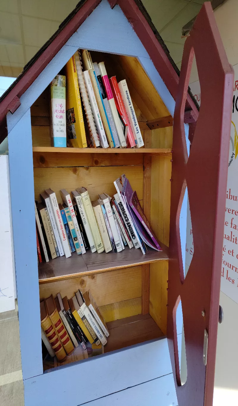 Délivrez - Boite à livres (Thun-Saint-Amand, France)
