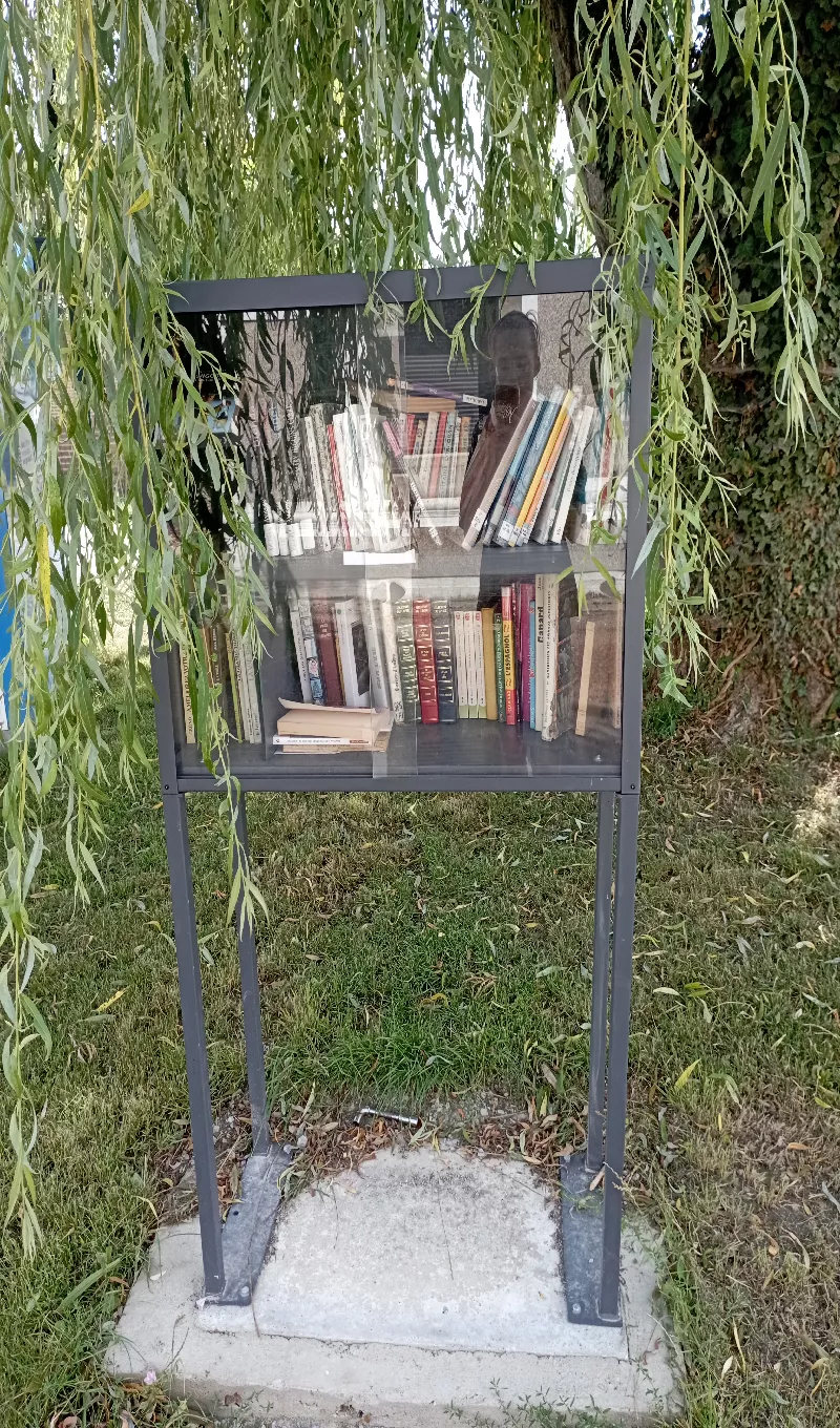 Delivrez - Free Library (Wittes, France)