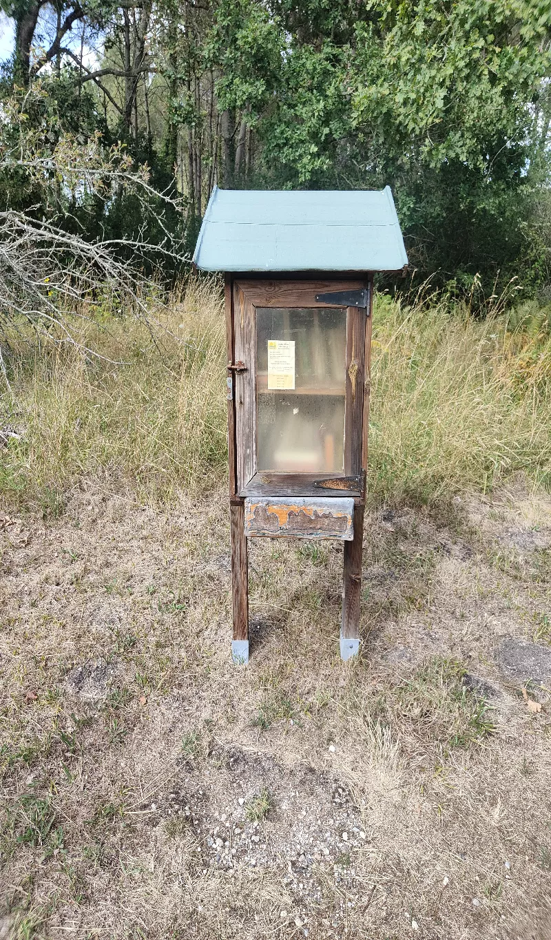 Delivrez - Free Library (Naujac-sur-Mer, France)