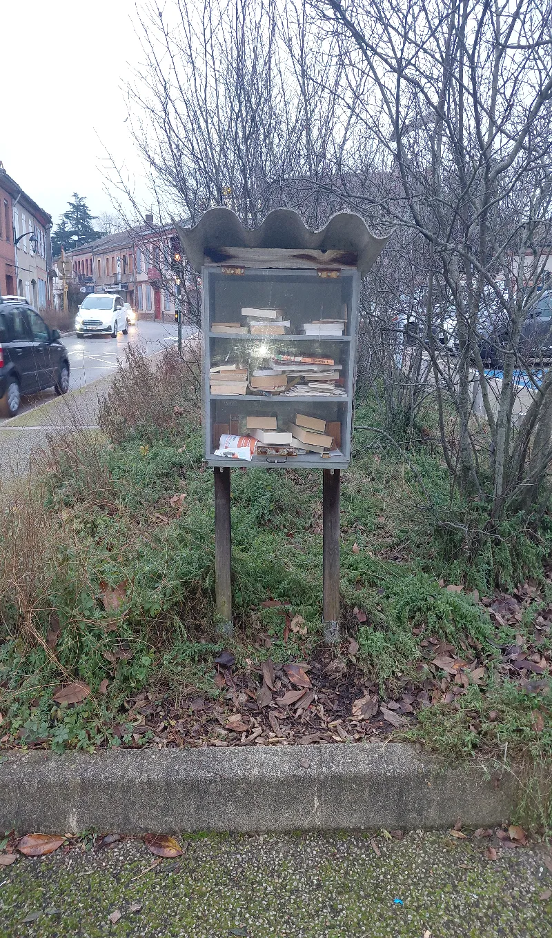 Délivrez - Boite à livres (Pinsaguel, France)