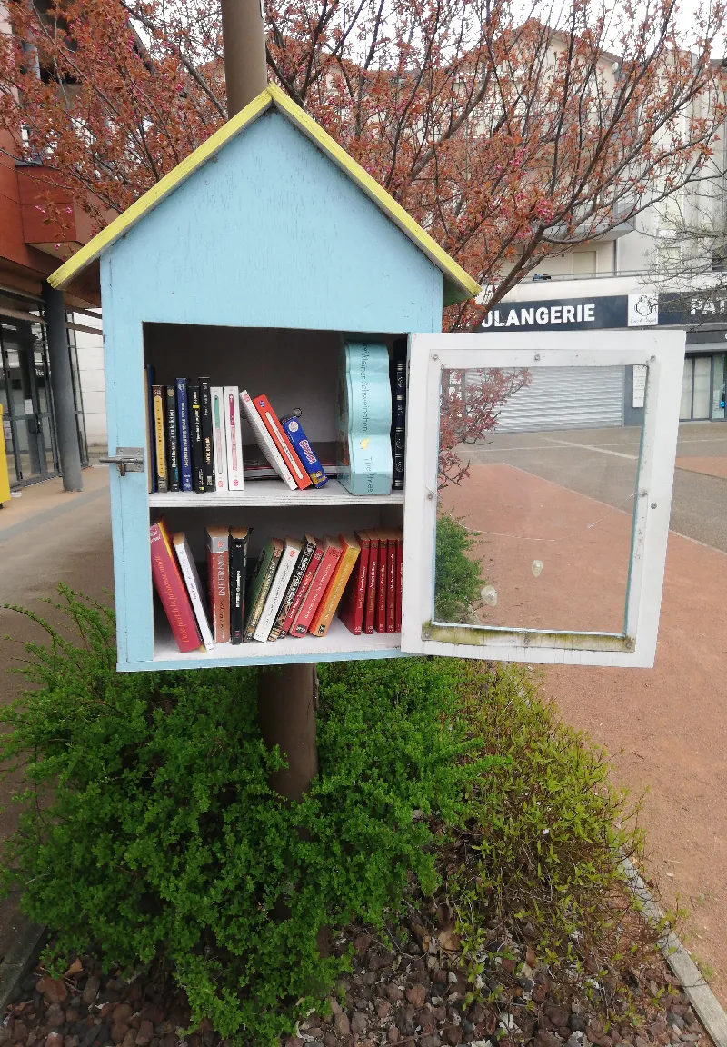 Délivrez - Boite à livres (Dagneux, France)