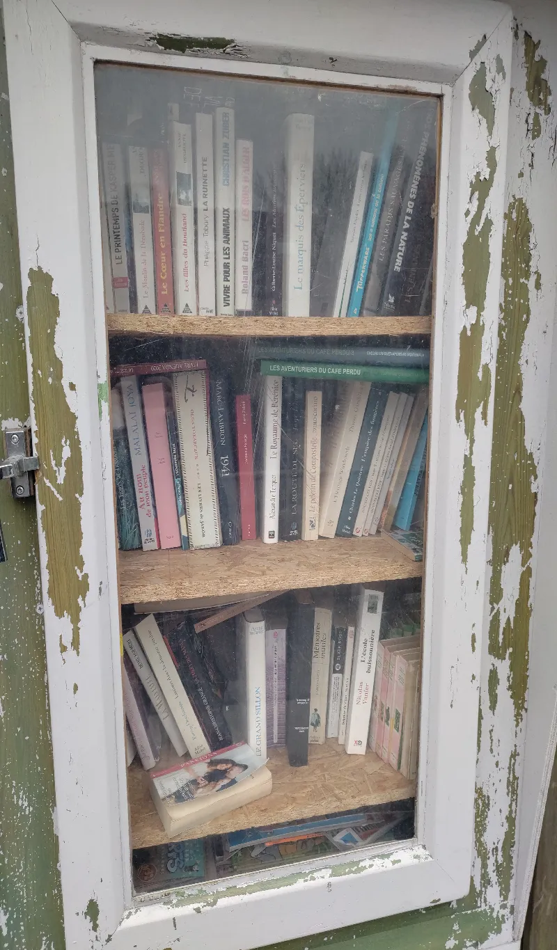 Délivrez - Boite à livres (Marchiennes, France)