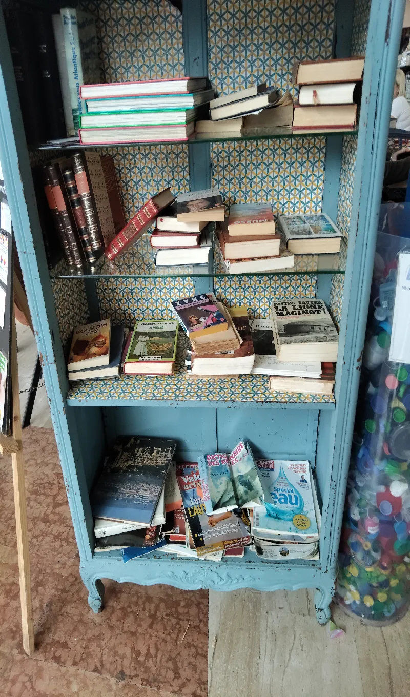 Delivrez - Free Library (Gonfreville-l'Orcher, France)