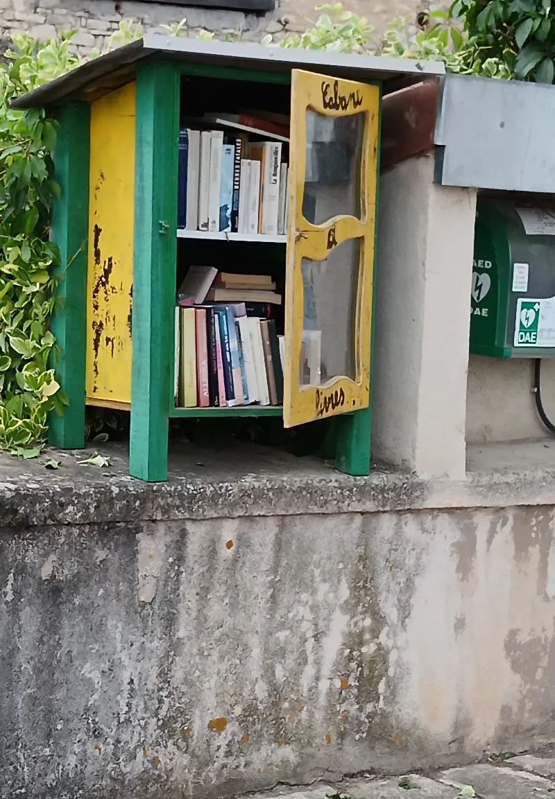 Délivrez - Boite à livres (Moriviller, France)