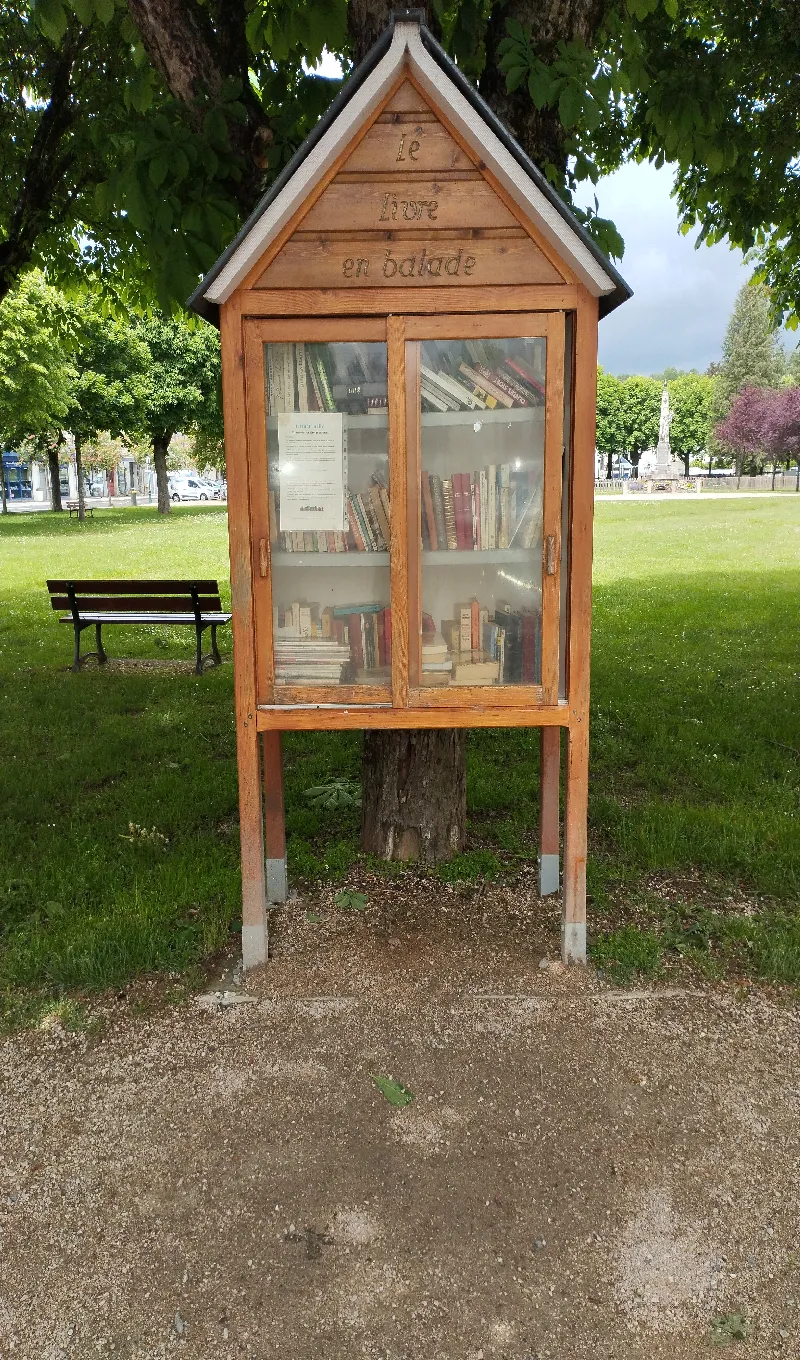 Délivrez - Boite à livres (Riom-ès-Montagnes, France)