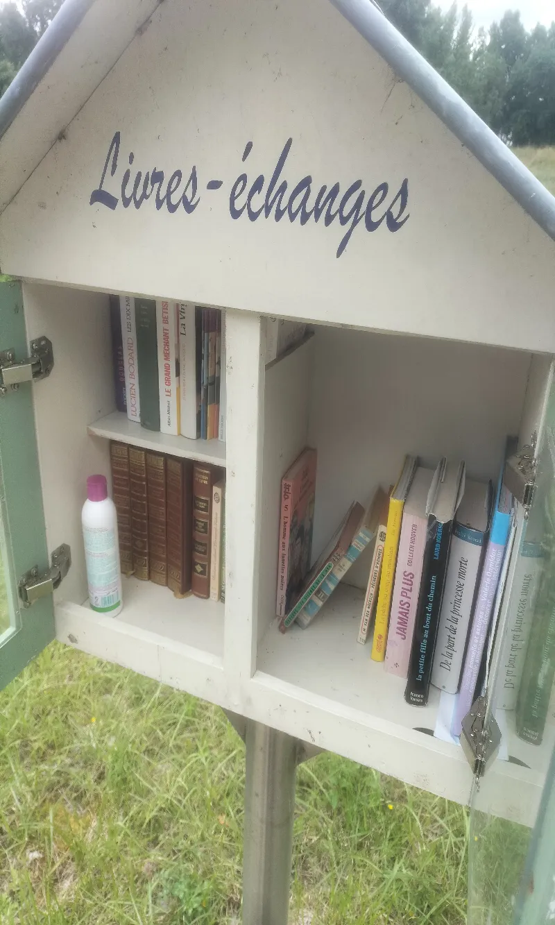 Délivrez - Boite à livres (Gennes-Val-de-Loire, France)