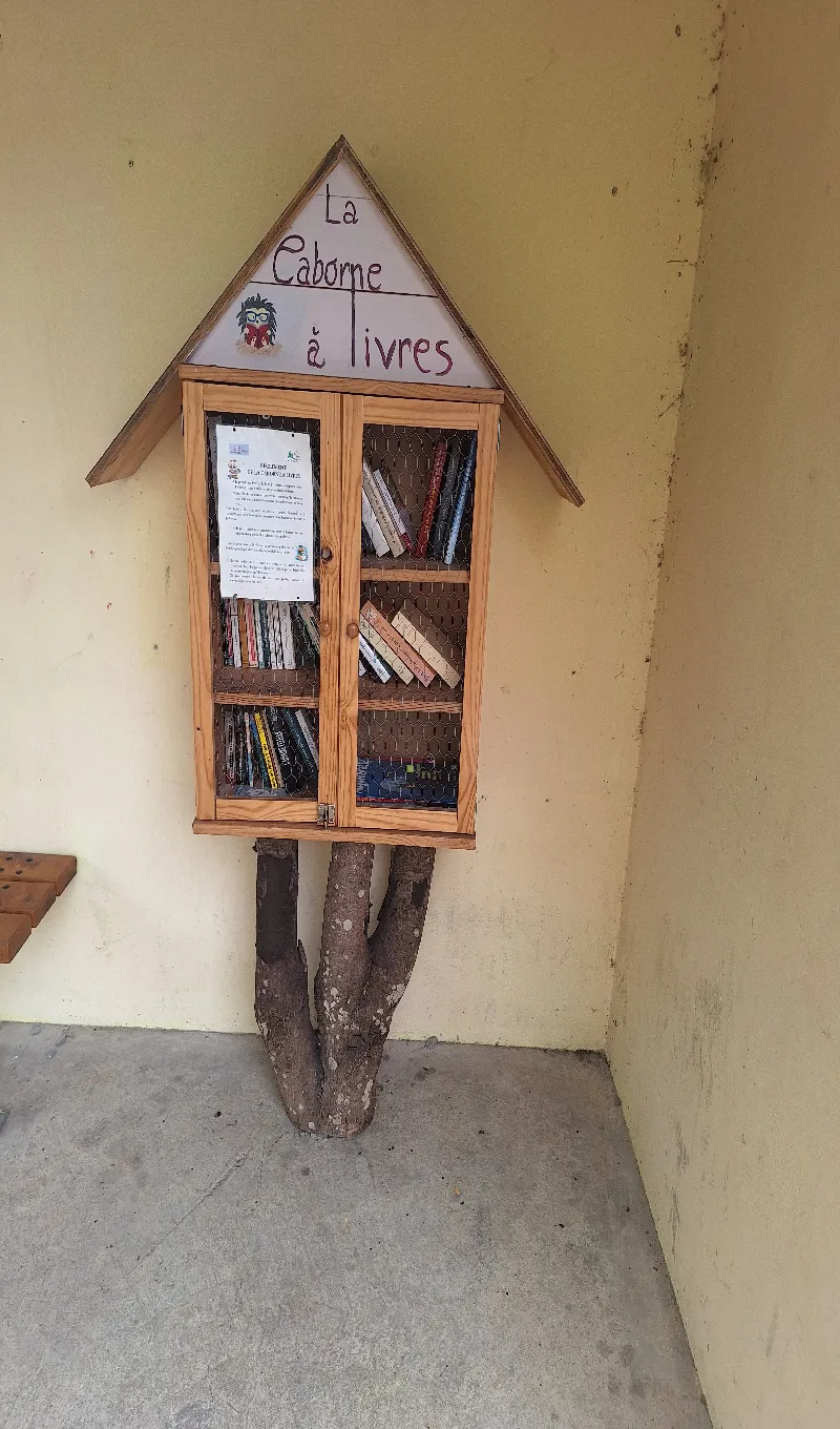 Délivrez - Boite à livres (Doucier, France)