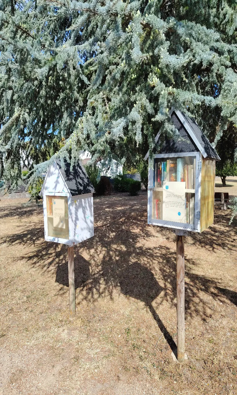Délivrez - Boite à livres (Meung-sur-Loire, France)