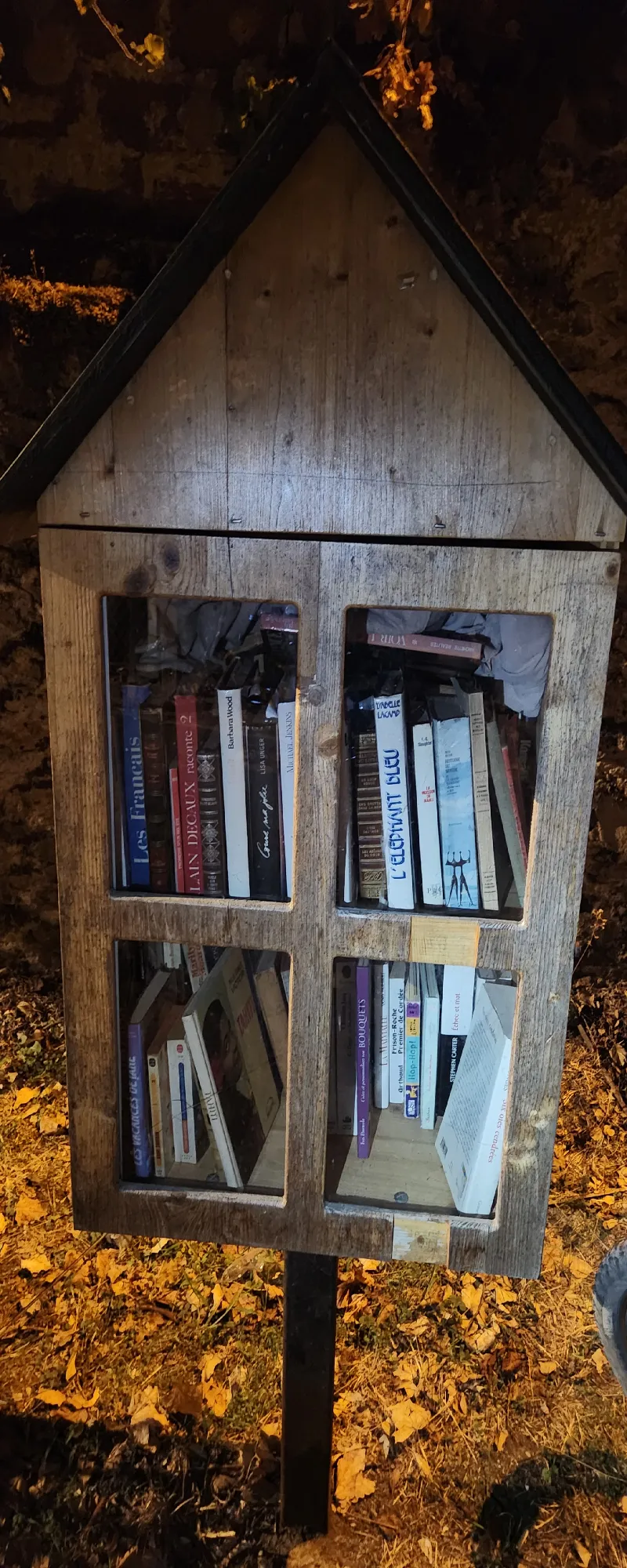 Délivrez - Boite à livres (Montgeron, France)