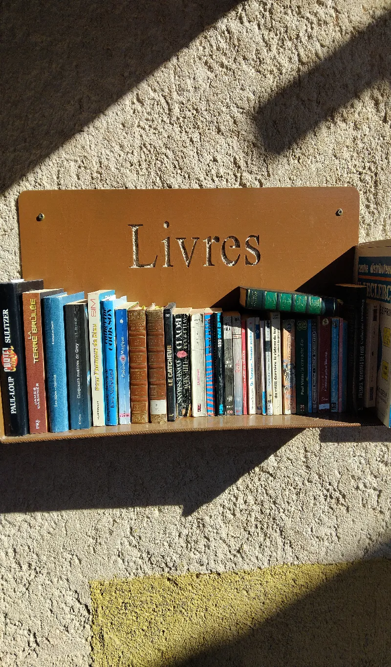 Délivrez - Boite à livres (Château-Arnoux-Saint-Auban, France)