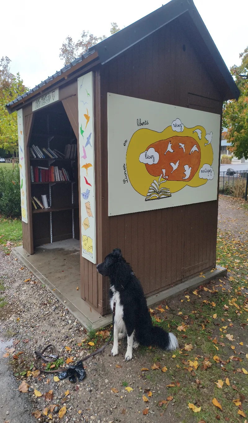 Délivrez - Boite à livres (Munster, France)